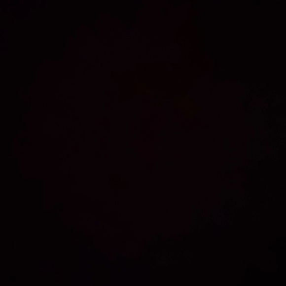 Meet your Posher, Jackson - Picture 1 of 1